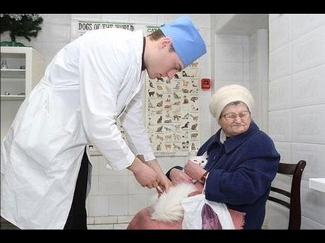 Divers - Laquelle la plus belle - 2