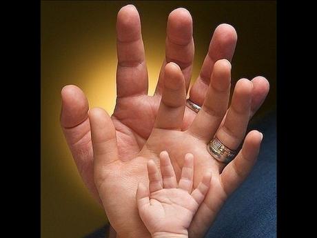 Divers - Laquelle la plus belle - 2