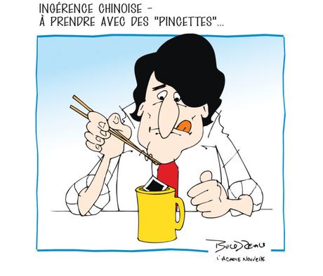 Couleur d'Anguille & Sandwichs