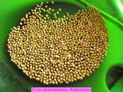 Assiette découverte à base de champignons (Vegan) Assiette découverte à base de champignons (Vegan)