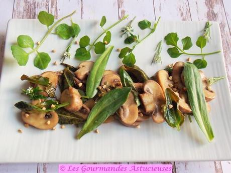 Assiette découverte à base de champignons (Vegan)