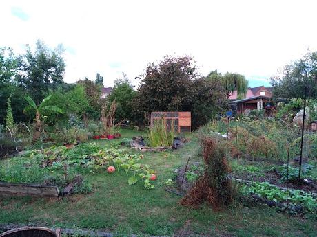 Comment créer un jardin riche en biodiversité grâce à la permaculture : les clés d'un écosystème harmonieux