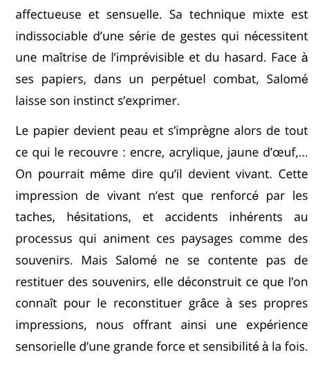 Galerie Aliénor Prouvost « exposition Salomé de Fontainieu «