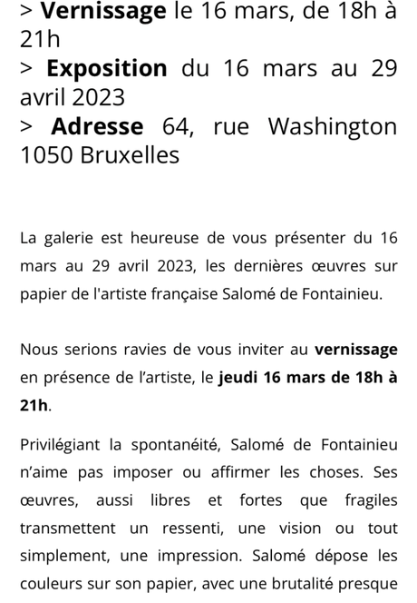 Galerie Aliénor Prouvost « exposition Salomé de Fontainieu «