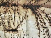 Quelques expositions nouvelles Paris