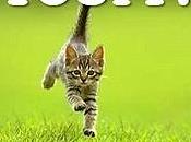 belle, clochard dédommagements