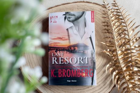 S.I.N. series, book 1: Last resort K. Bromberg