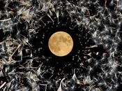 Lisa O’Neill This Chance