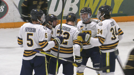 Hockey masculin CSS Ledenkov et Bostedt nommés finalistes du joueur de l’année Hockey masculin CSS Ledenkov et Bostedt nommés finalistes du joueur de l’année