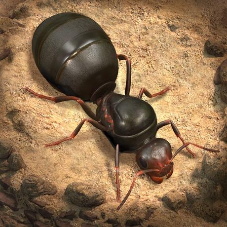 The Ants Underground Kingdom MOD