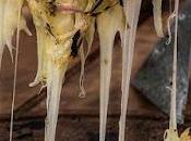 nouvelle édition Pizzamania commence aujourd’hui Buenos Aires [Actu]