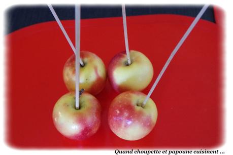 pommes d'amour-2441