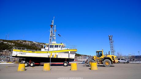 Mise à l’eau des crabiers aujourd’hui… et bientôt ce sera délicieux!