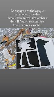 OXISEAU 💙💙💙