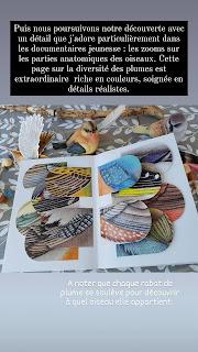 OXISEAU 💙💙💙