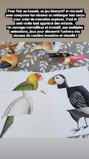 OXISEAU 💙💙💙