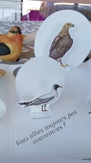 OXISEAU 💙💙💙