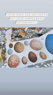 OXISEAU 💙💙💙