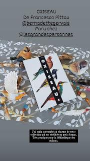 OXISEAU 💙💙💙