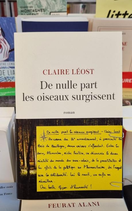 De nulle part les oiseaux surgissent