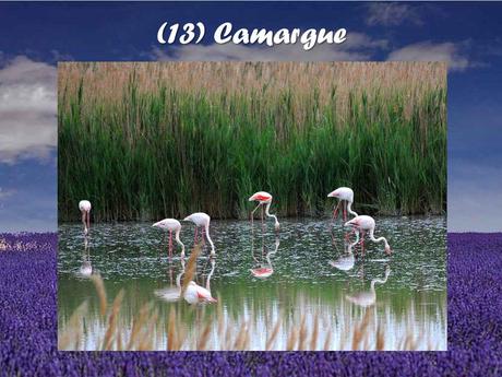 La France - La Provence - 1