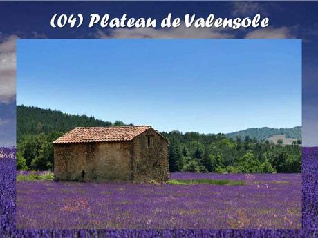 La France - La Provence - 1