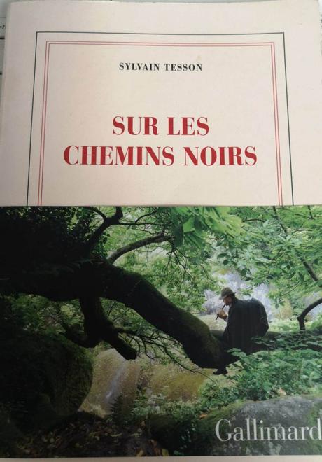 Sylvain Tesson : « Sur les chemins noirs ». « En lisant, en écrivant »… (Dosette de lecture n°46)