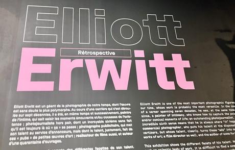 Musée Maillol exposition  » Elliot Erwitt  » depuis le 23 Mars 2023.