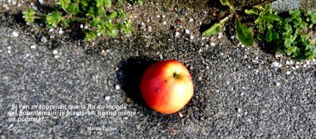 comme d'un pays comme d'un pays