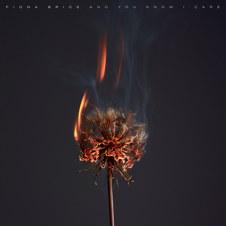 Le Piano Day 2023 × 9ème Édition Le Piano Day 2023 × 9ème Édition