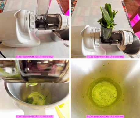 Oseille farcie sur jus vert qui a du pep's (Vegan)