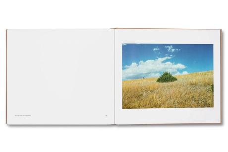 STEPHEN SHORE – TOPOGRAPHIES: AERIAL SURVEYS OF THE AMERICAN LANDSCAPE