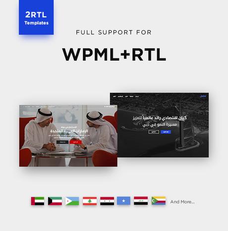 Massive Dynamic - Créateur de site WordPress - 23