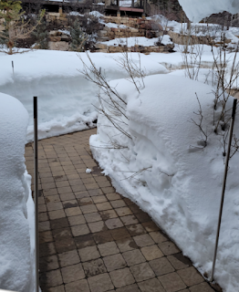 Temps d'enlever mes jalons à neige ?