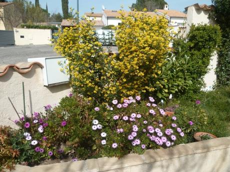 jardin,jardinage,fleurs,plantes,fraises,jardiner,printemps