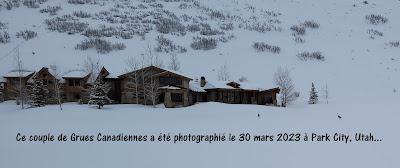 Conseils de voyage désatreux