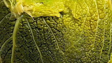 Chou farci végétarien presque comme Laurent Mariotte Chou farci végétarien presque comme Laurent Mariotte