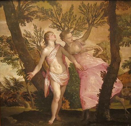 Apollo_and_Daphne_by_Veronese,_San_Diego_Museum_of_Art