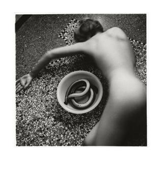3 avril 1958 | Naissance de Francesca Woodman 3 avril 1958 | Naissance de Francesca Woodman