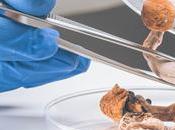 Psychédéliques cognition nouvelle perspective psychoactive