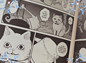 Hachi Maruru Chats rues Yuri Sonoda