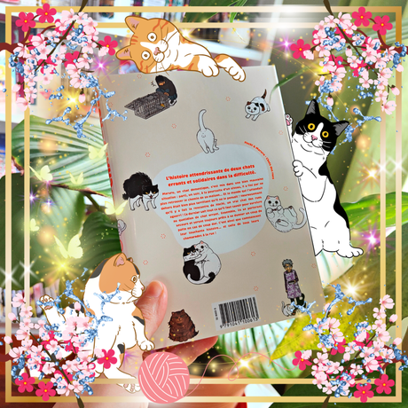 Hachi & Maruru – Chats des rues T01 de Yuri Sonoda