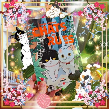 Hachi & Maruru – Chats des rues T01 de Yuri Sonoda