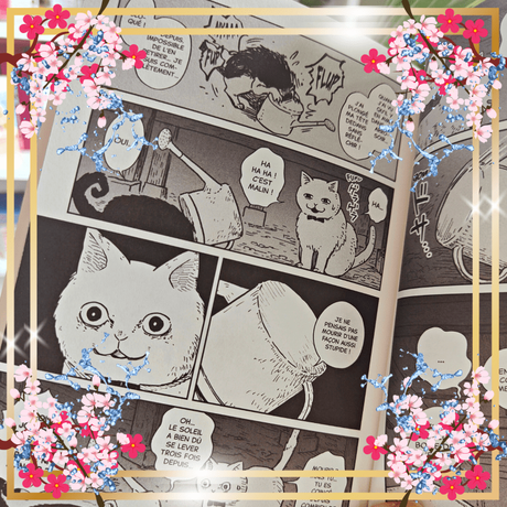 Hachi & Maruru – Chats des rues T01 de Yuri Sonoda Hachi & Maruru – Chats des rues T01 de Yuri Sonoda