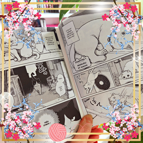 Hachi & Maruru – Chats des rues T01 de Yuri Sonoda