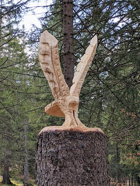 Ein neuer Adler in Mittenwald