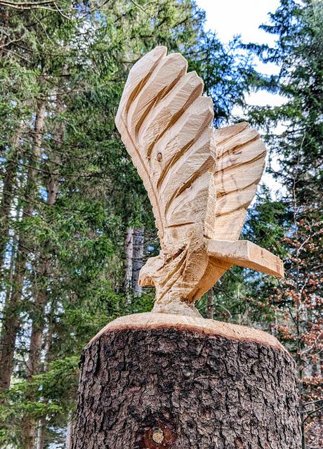 Ein neuer Adler in Mittenwald