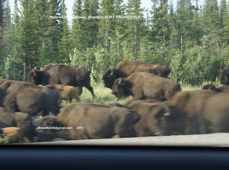 800_ DE MARSEILLE À TUKTOYAKTUK