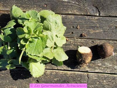 Boulgour aux orties et Cie (Vegan) Boulgour aux orties et Cie (Vegan)