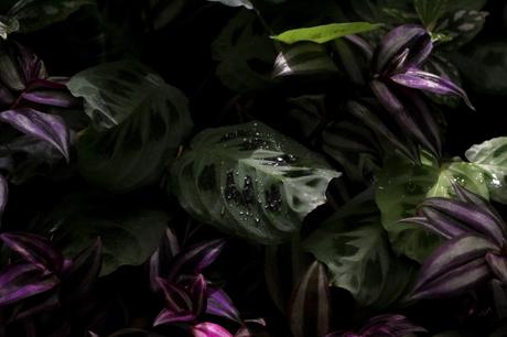 Cityguide : à la découverte de Montréal…